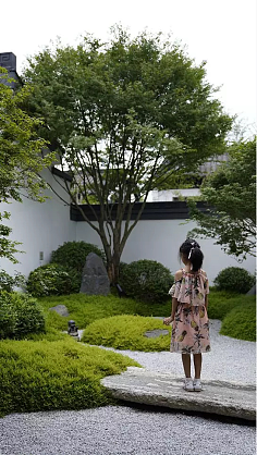 3-屋顶花园